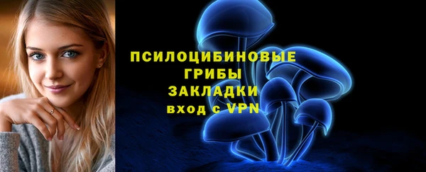 a pvp Алзамай